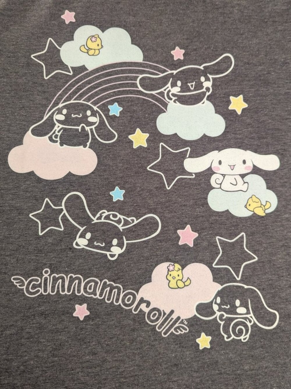 Torrid Cinnamoroll by Sanrio Dark Heather Gray Soft Graphic Tee Sz 1 Used but GC